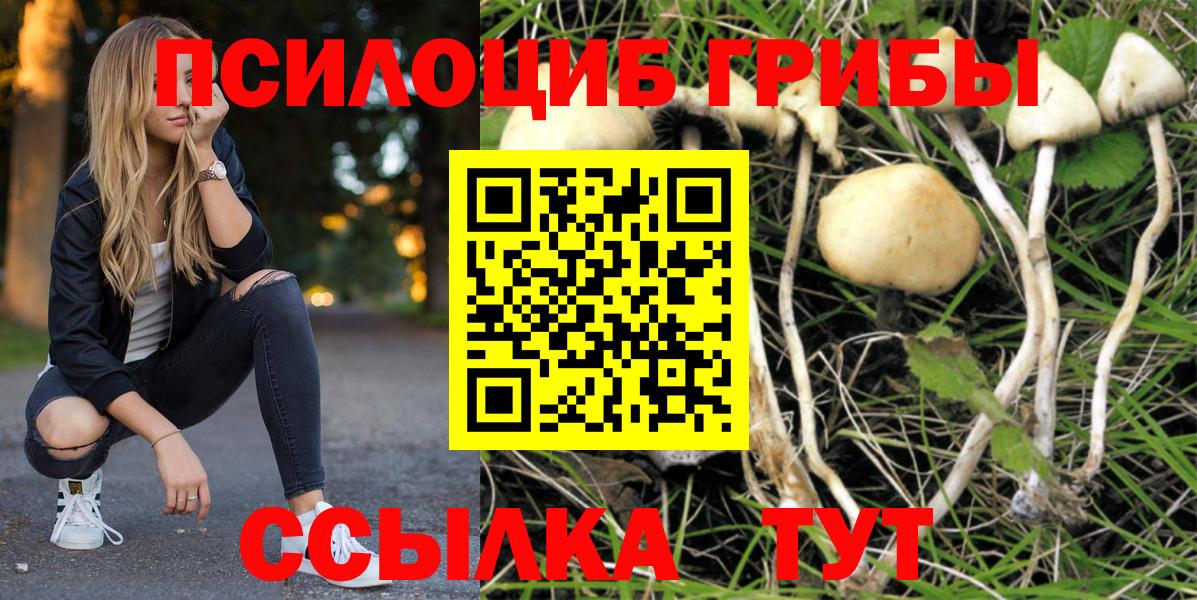 Галлюциногенные грибы прущие грибы Егорьевск