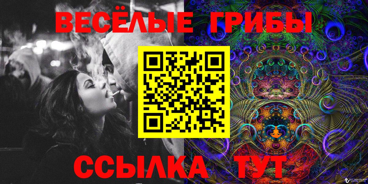 Егорьевск  закладки  Вход с VPN  Псилоцибиновые грибы ЛСД 